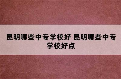 昆明哪些中专学校好 昆明哪些中专学校好点